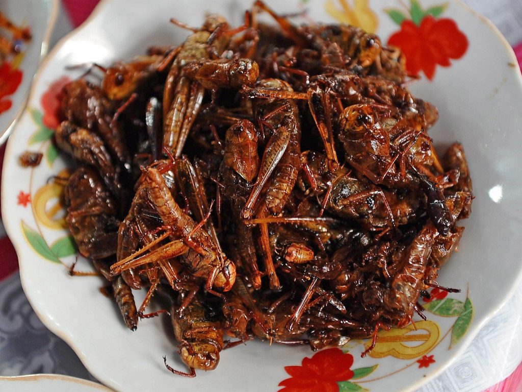 A plate of cooked desert locusts stew showing the growing trend in insect farming