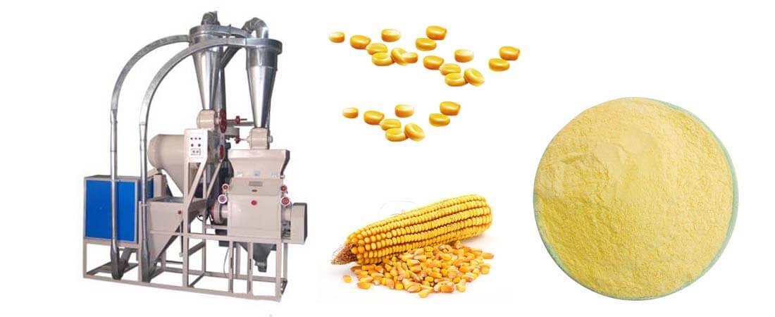 maize farming business plan kenya