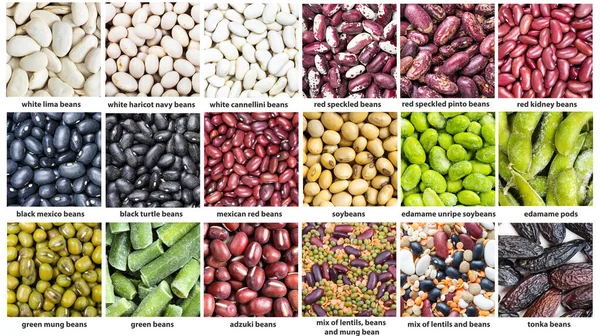 Set of square food background - various beans with names close up