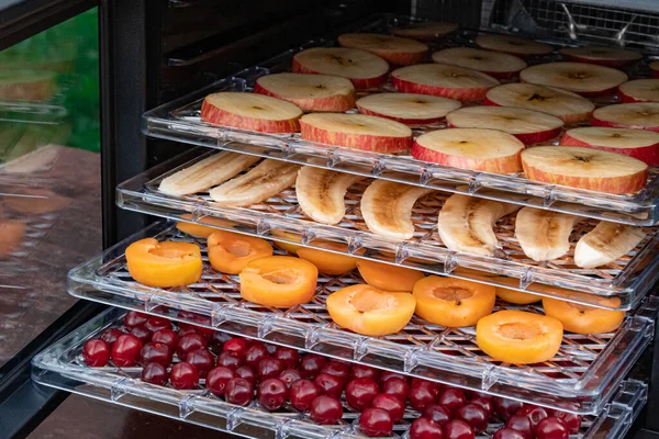 Electric drying machine for dehydration of products with horizontal loading of pallets. There are apples, bananas, apricots and cherries on the pallets