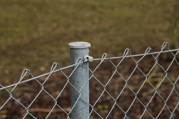 chain link fences erected on a metallic/steel fencing post
