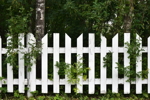  white wooden fence