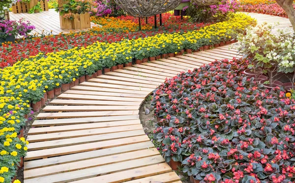 Wooden pathway winding in a garden with ground cover crops or flowers