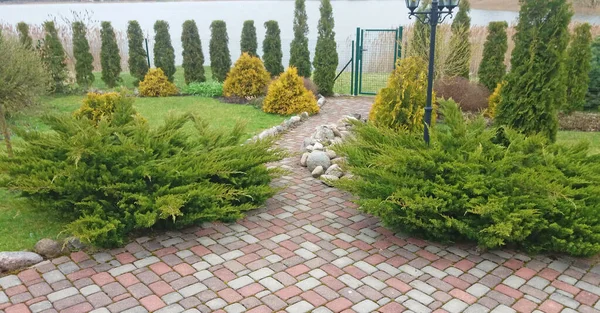 Garden design. Tile path in an ornamental garden among lush vegetation