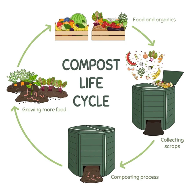 Compost life circle infographic. Composting process. Schema of recycling organic waste from collecting kitchen scraps to use compost for farming. Zero waste concep