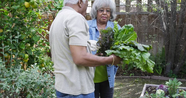 Gardening during the golden years. a senior couple gardening together in their backyard