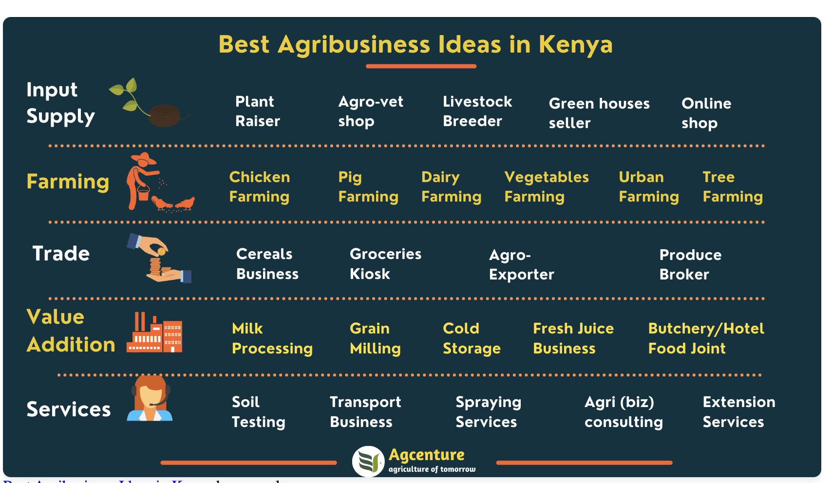 Which are the Best Agriculture business Ideas In Kenya – 2025